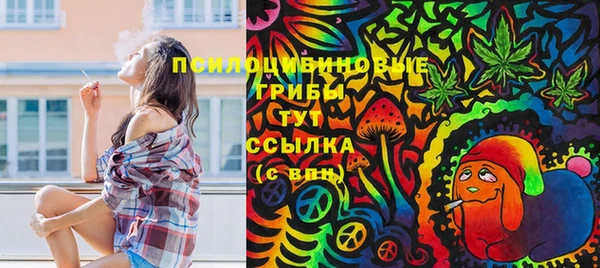 бошки Корсаков