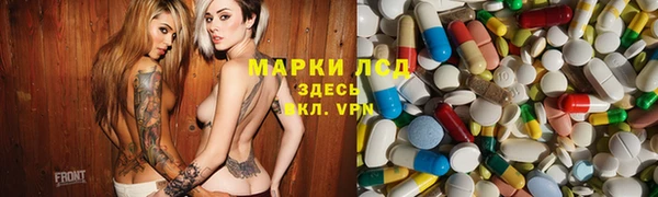 сатива Володарск