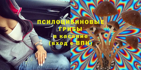 сатива Володарск