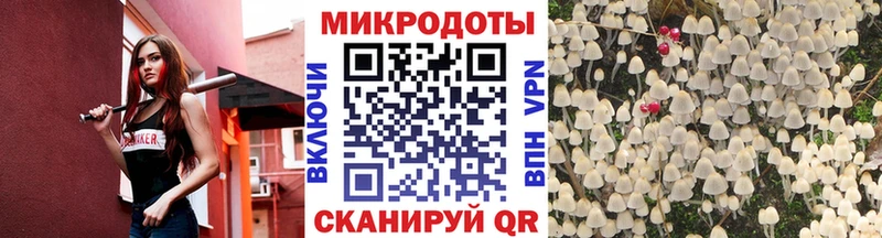 наркошоп  Могоча  Галлюциногенные грибы Psilocybine cubensis 